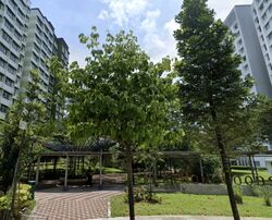 Blk 802A Keat Hong Crest (Choa Chu Kang), HDB 5 Rooms #374727231